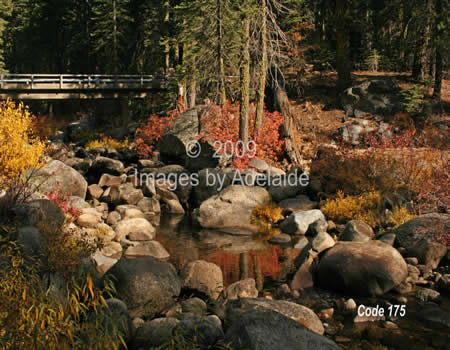 Reflection at Herring Creek